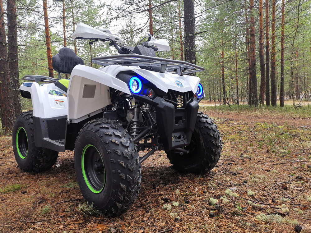 Квадроцикл PROMAX RENEGADE 280 (2025) в Евпатории