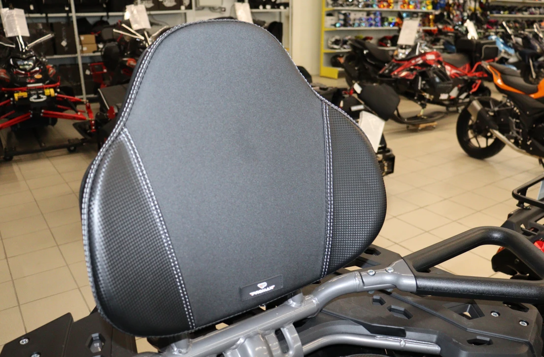 Квадроцикл PROMAX RENEGADE 300 LONG WINCH PRO (2025) в Евпатории