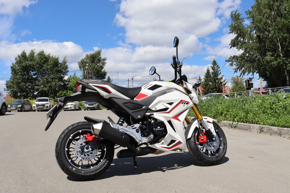 Мотоцикл PROMAX STRYKER 200(49) 2.0 в Евпатории