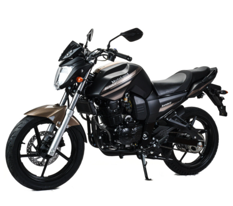 Мотоцикл MOTOLAND (МОТОЛЕНД) 300 BANDIT в Евпатории