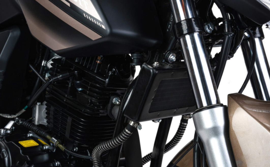 Мотоцикл MOTOLAND (МОТОЛЕНД) 300 BANDIT в Евпатории