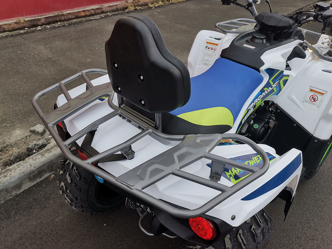 Квадроцикл PROMAX RENEGADE 280 LUX (2025) в Евпатории