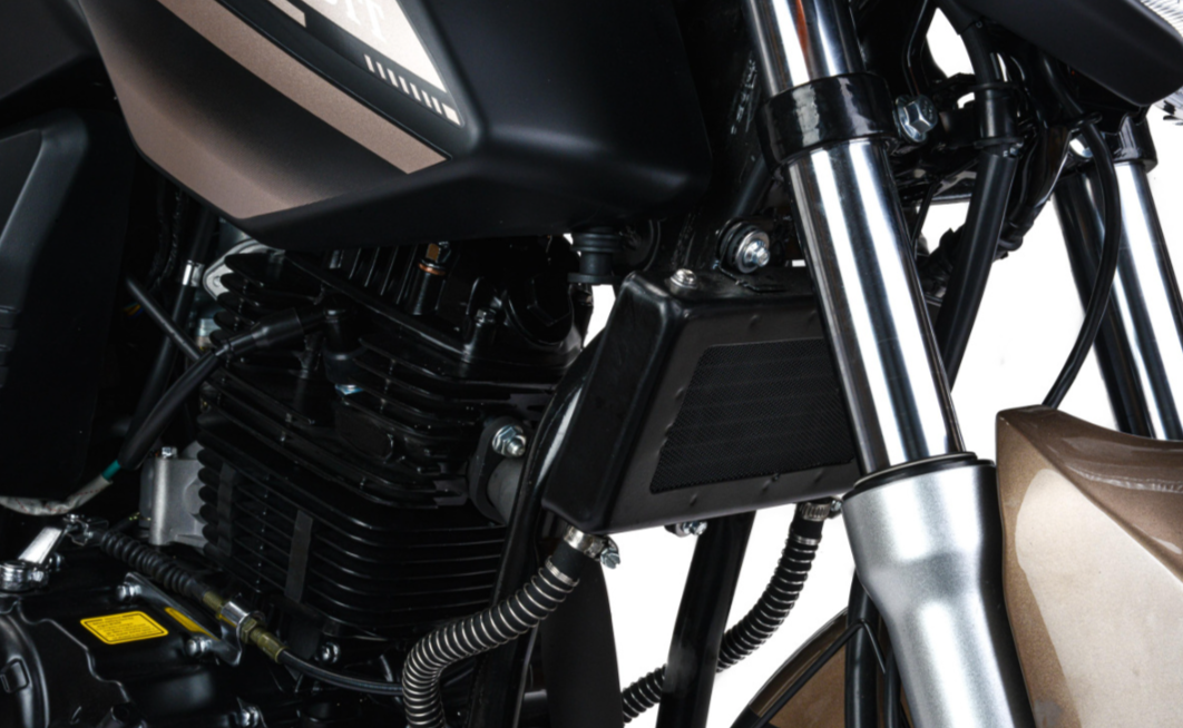 Мотоцикл MOTOLAND (МОТОЛЕНД) 300 BANDIT в Евпатории