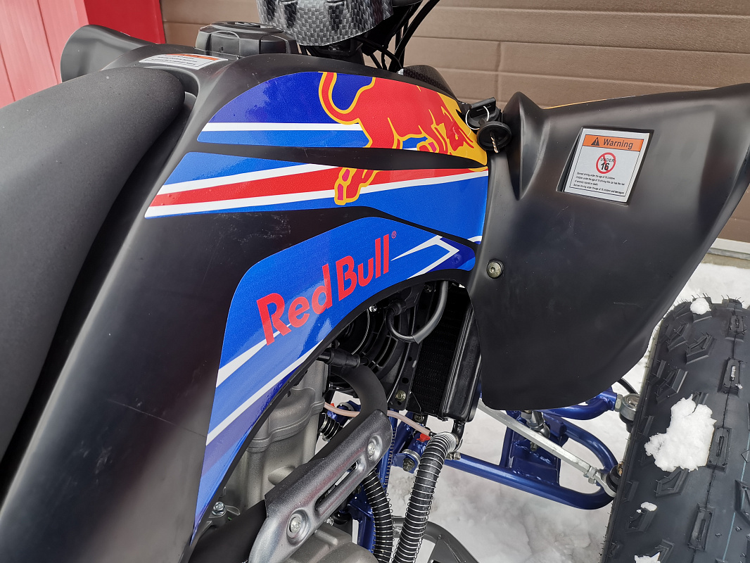 Квадроцикл PROMAX RAPTOR 300 NEW RedBull в Евпатории