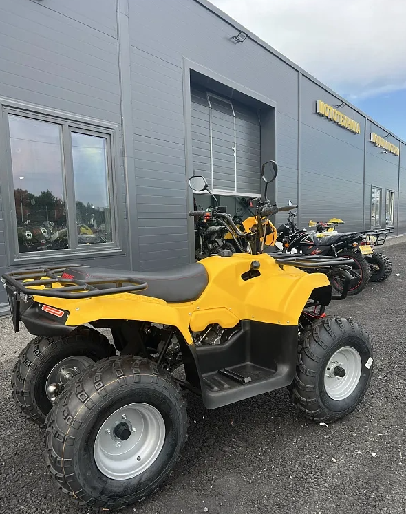 КВАДРОЦИКЛ IRBIS ATV 250  в Евпатории