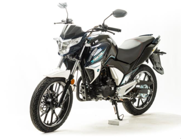 Мотоцикл MOTOLAND (МОТОЛЕНД) FIGHTER 250 в Евпатории