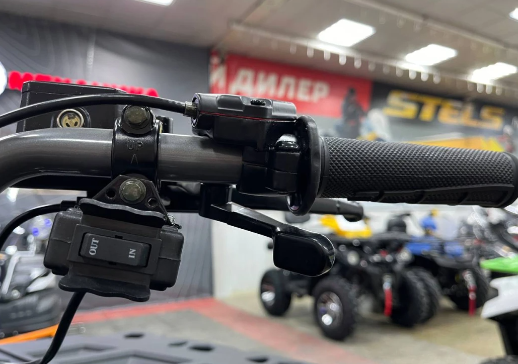 Квадроцикл PROMAX RENEGADE 300 LONG WINCH PRO (2025) в Евпатории