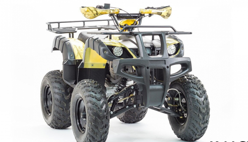 Квадроцикл MOTOLAND (МОТОЛЕНД) 250 ADVENTURE в Евпатории