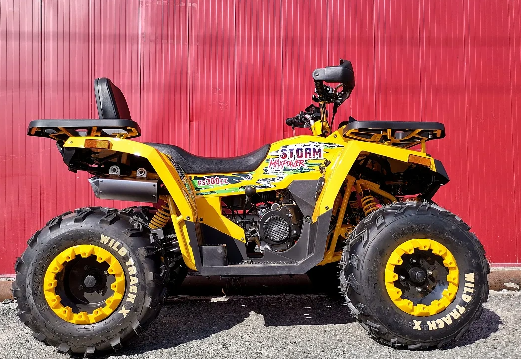 Квадроцикл PROMAX STORM 280 LUX в Евпатории