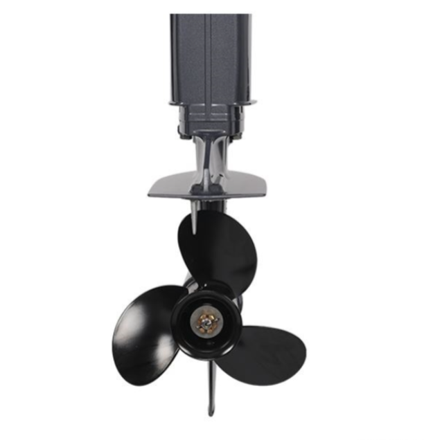 Лодочный мотор ALLFA CG Т40FW S в Евпатории