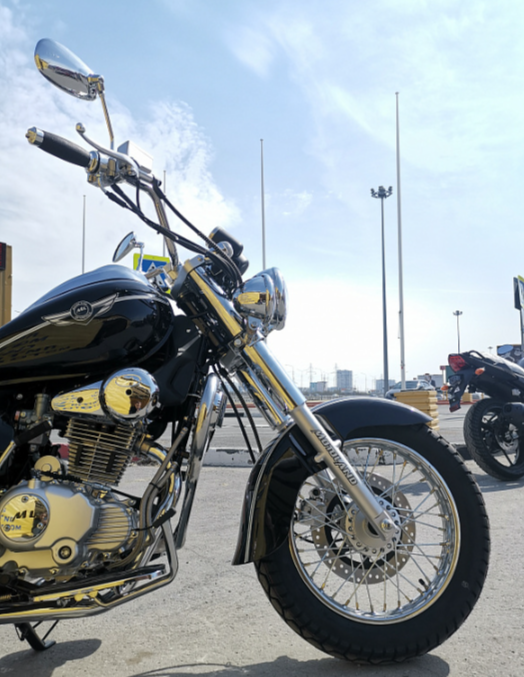 Мотоцикл MOTOLAND (МОТОЛЕНД) WOLF 250 в Евпатории