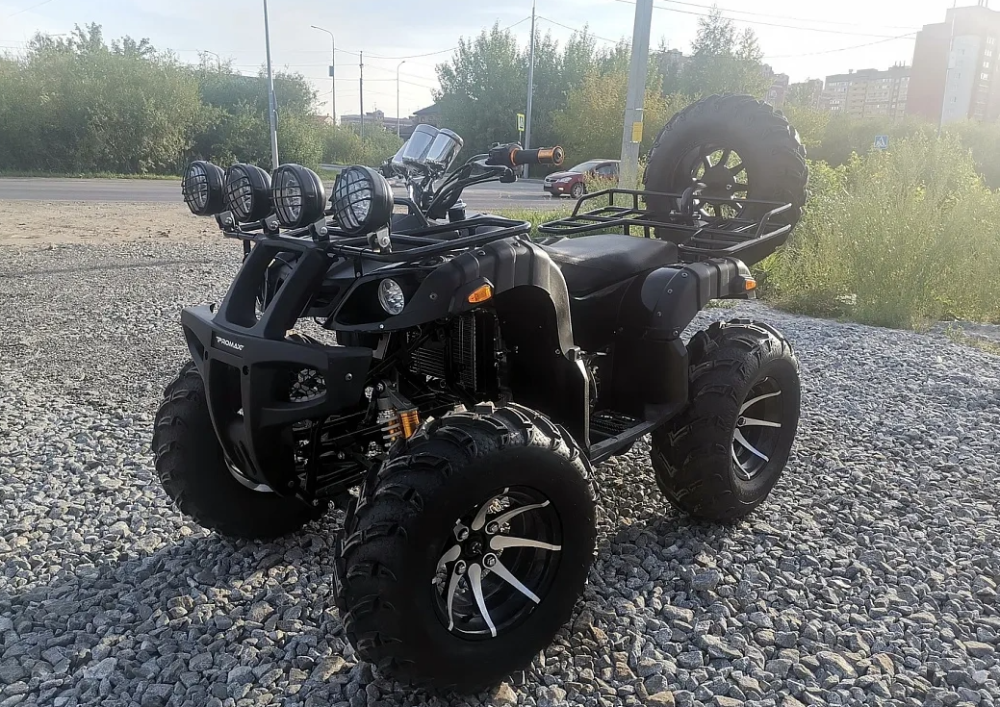 Квадроцикл PROMAX LEO 300 Max (кардан) в Евпатории