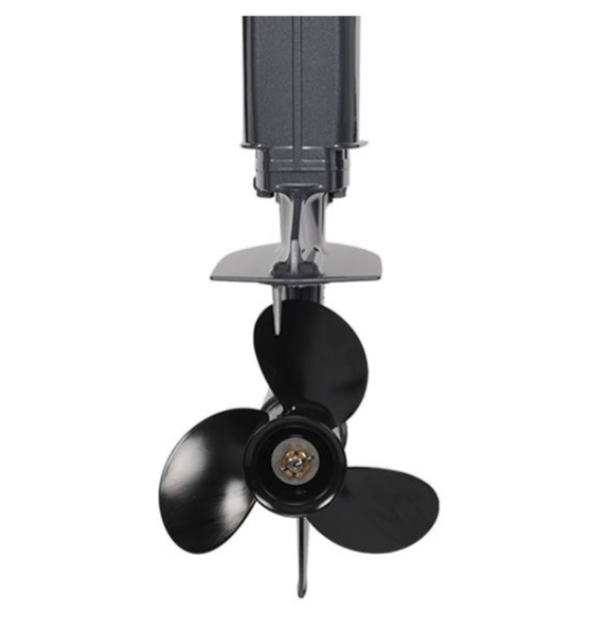 Лодочный мотор ALLFA CG Т40FWT S в Евпатории