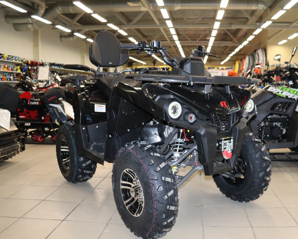 Квадроцикл PROMAX RENEGADE 300 LONG WINCH PRO (2025) в Евпатории