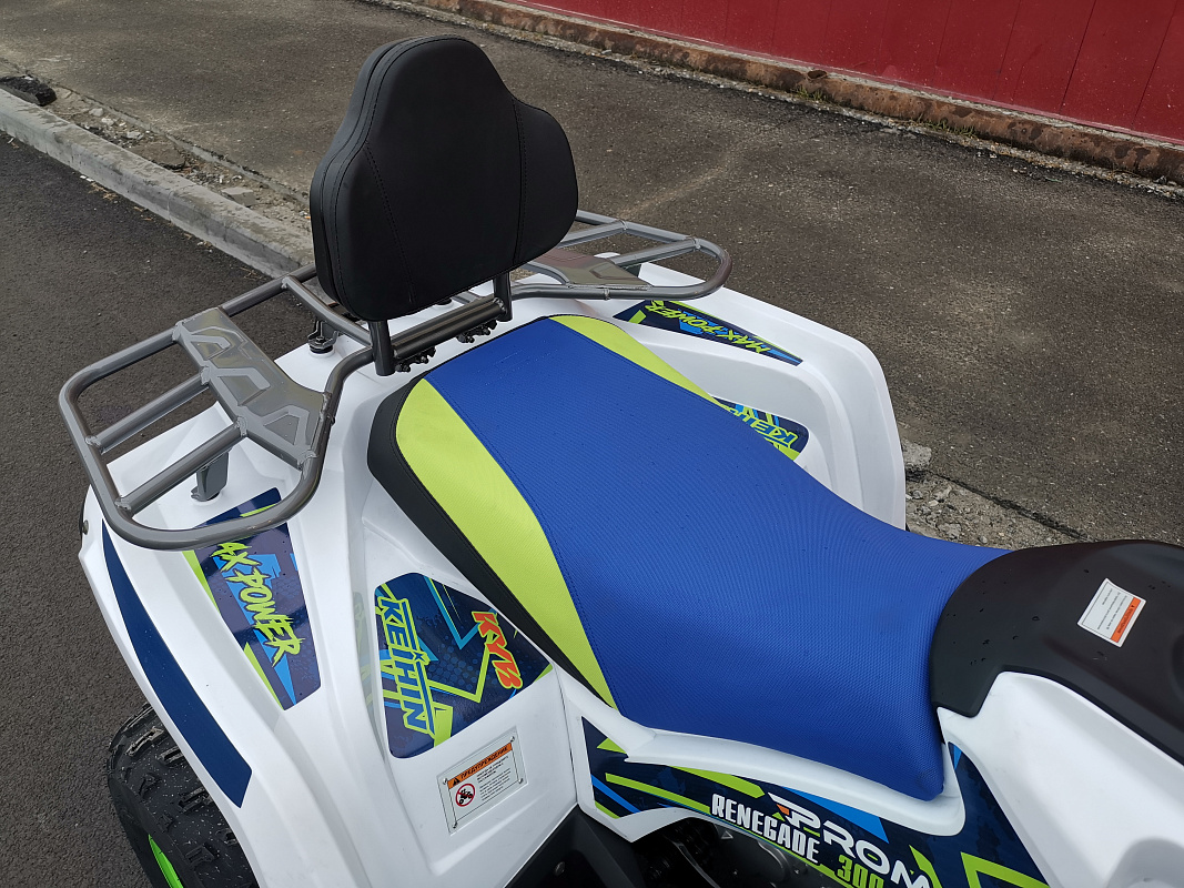 Квадроцикл PROMAX RENEGADE 280 LUX (2025) в Евпатории