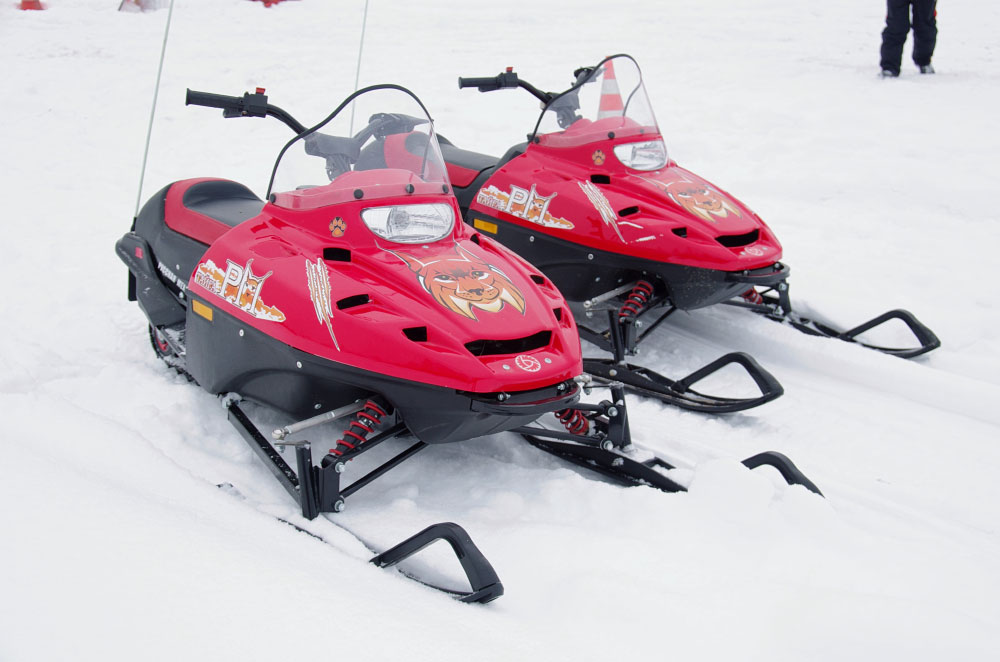 Снегоход РМ ТАЙГА РЫСЬ в Евпатории