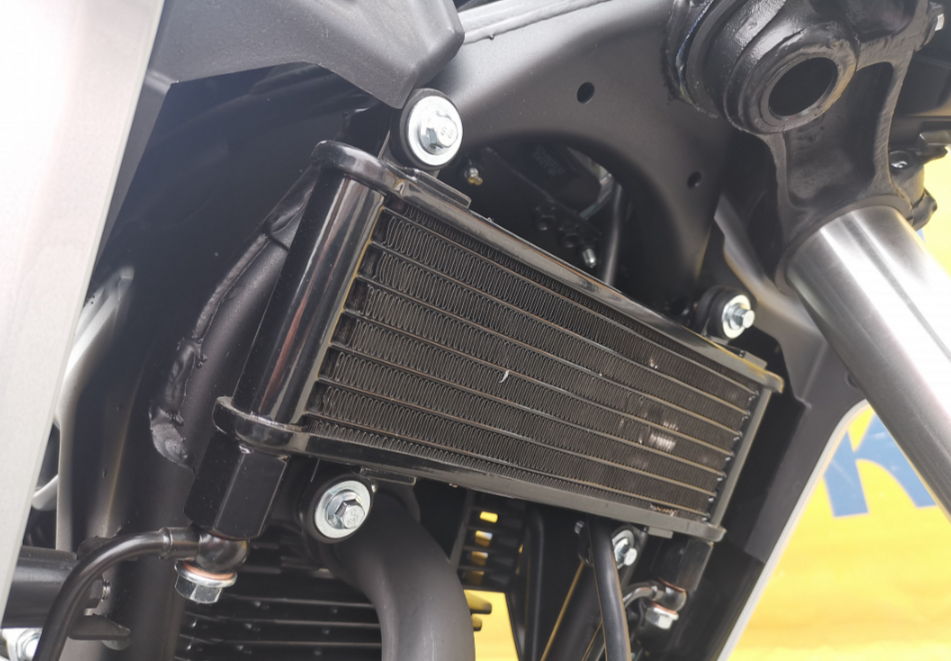 Мотоцикл MOTOLAND (МОТОЛЕНД) 250 CB250 (172FMM-5/PR250) (2022 г.) в Евпатории