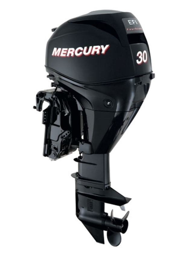ЛОДОЧНЫЙ МОТОР MERCURY  F 30 ELH GA EFI в Евпатории
