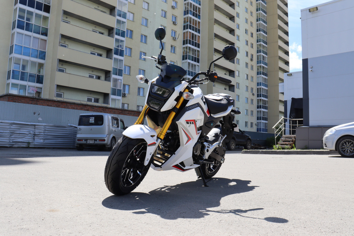 Мотоцикл PROMAX STRYKER 200(49) 2.0 в Евпатории