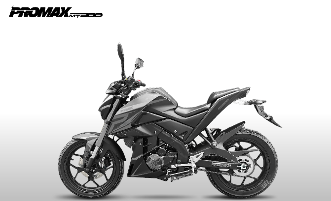 Мотоцикл PROMAX MT300 в Евпатории