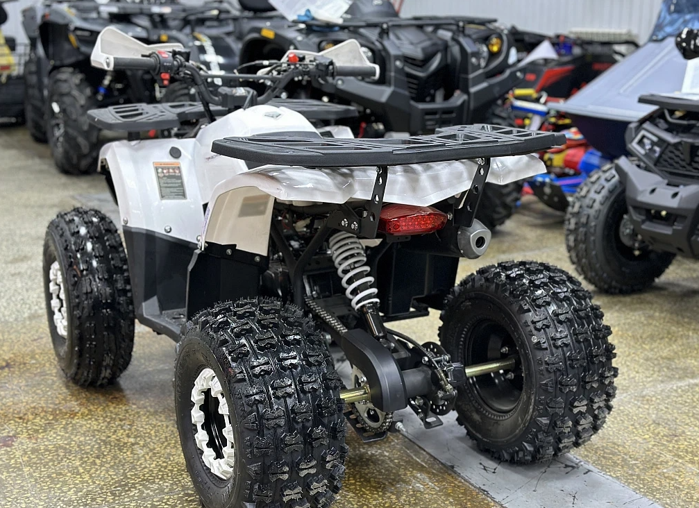 Квадроцикл PROMAX WILD 2.0 190 в Евпатории