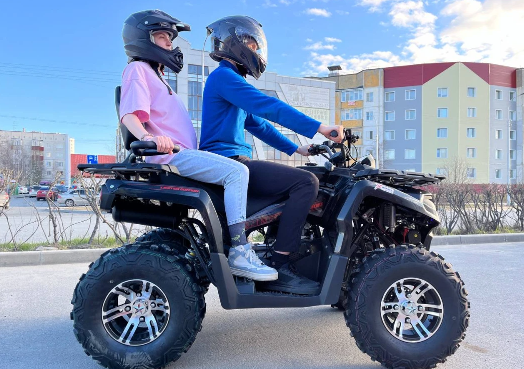 Квадроцикл PROMAX RENEGADE 300 LONG WINCH PRO (2025) в Евпатории