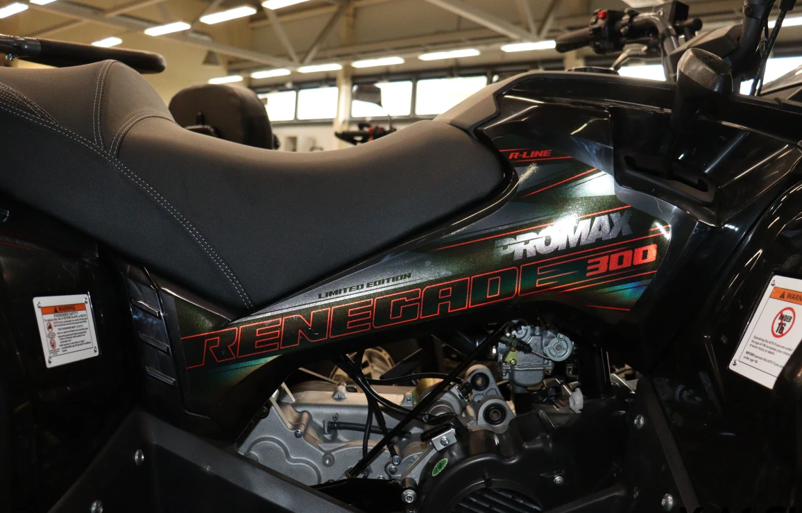 Квадроцикл PROMAX RENEGADE 300 LONG WINCH PRO (2025) в Евпатории