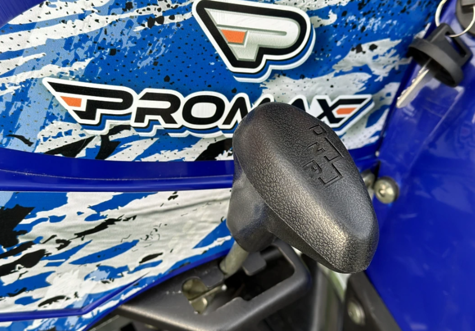  Квадроцикл PROMAX ATV 250 MAX (2025) в Евпатории