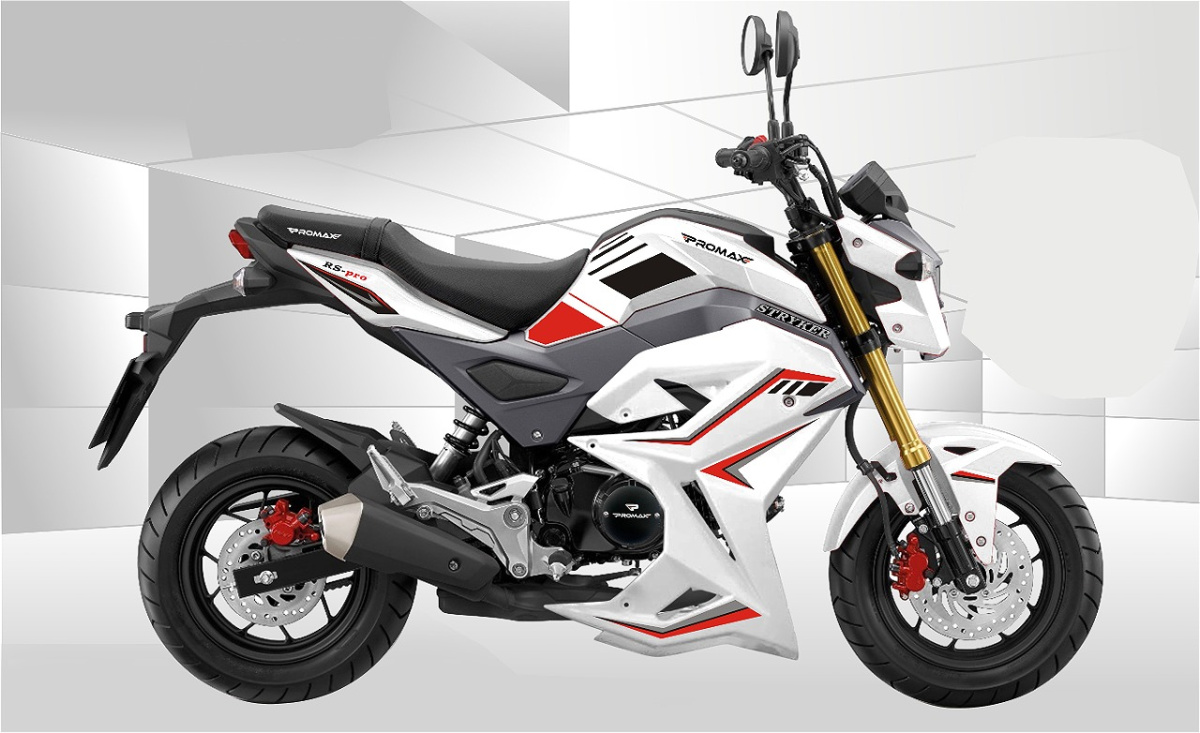 Мотоцикл PROMAX STRYKER 200(49) 2.0 в Евпатории