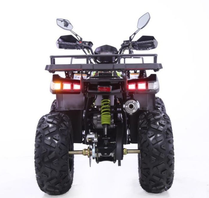 Квадроцикл YACOTA WARRIOR 200 PRO в Евпатории