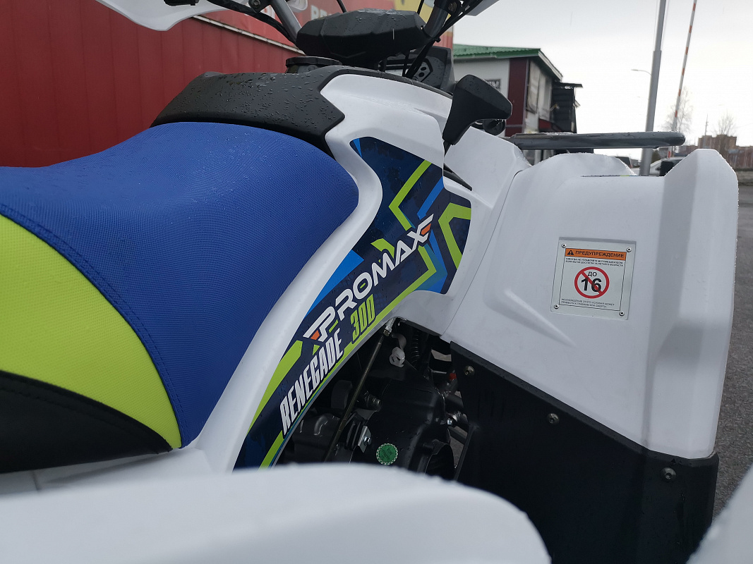 Квадроцикл PROMAX RENEGADE 280 LUX (2025) в Евпатории