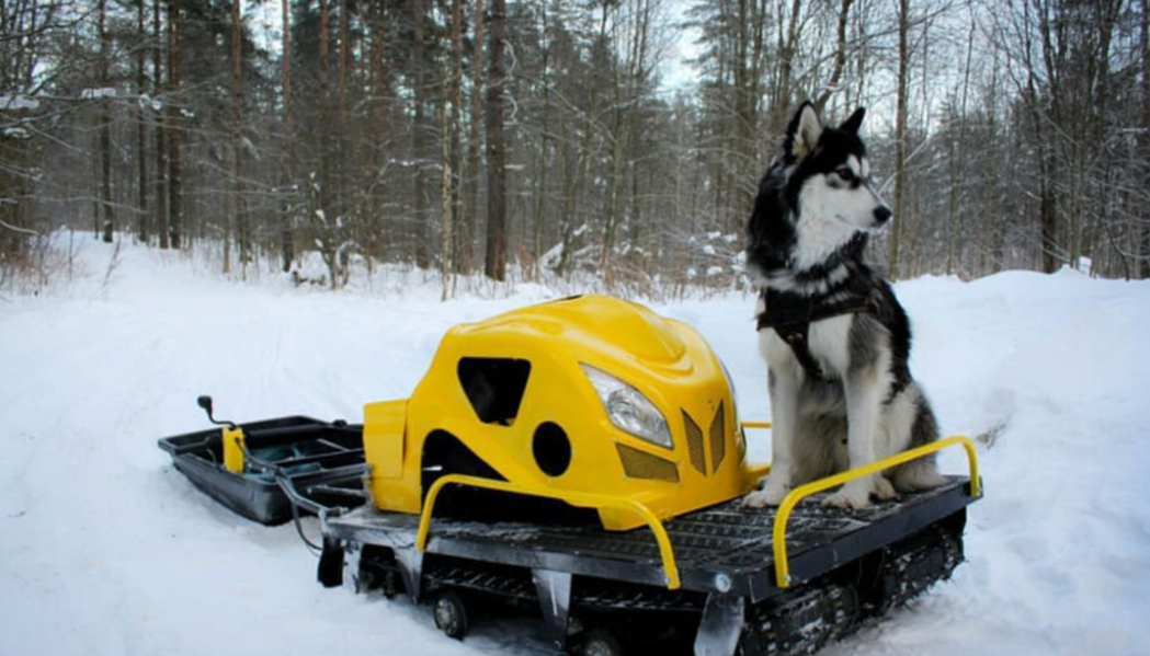 Мотобуксировщик LEBEDEV MOTORS ВОЛКОДАВ POWER V13 в Евпатории