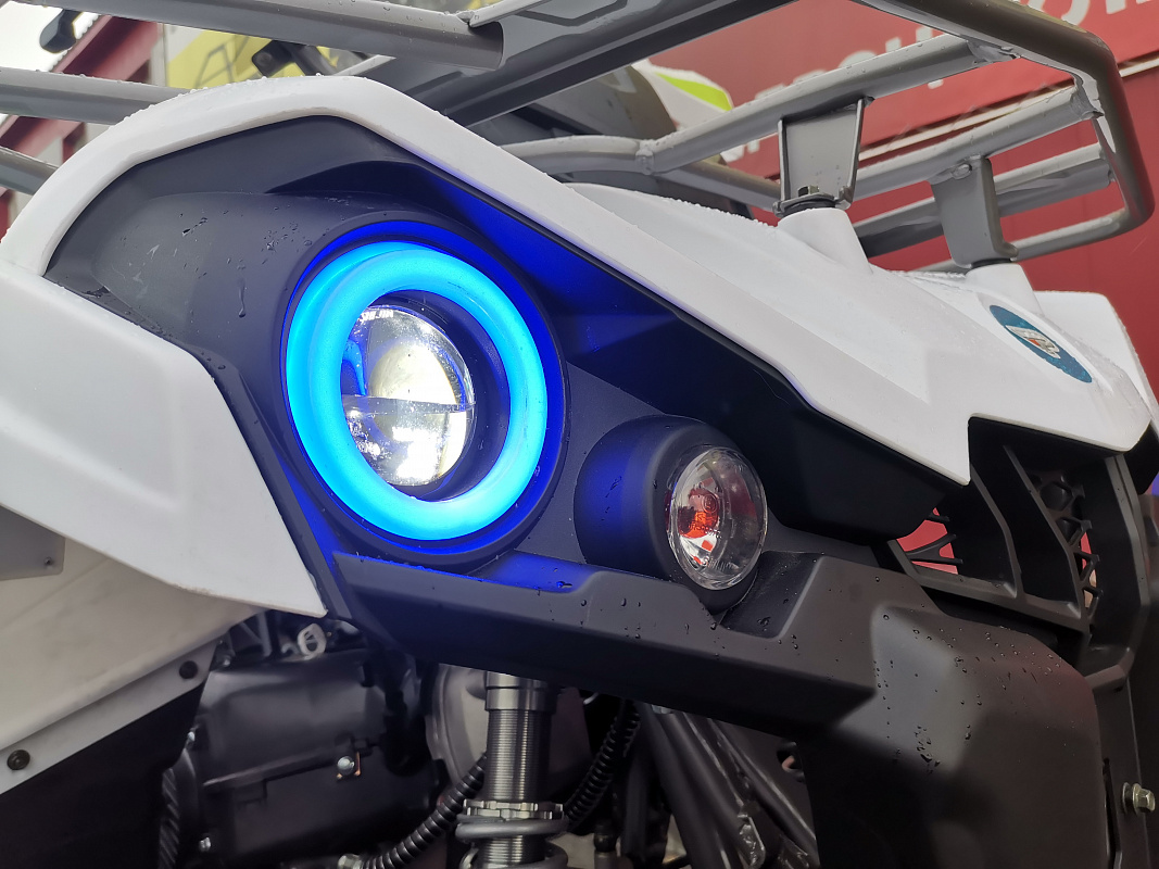 Квадроцикл PROMAX RENEGADE 280 LUX (2025) в Евпатории