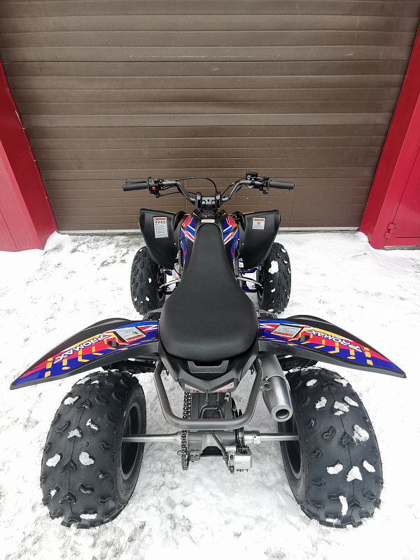 Квадроцикл PROMAX RAPTOR 300 NEW RedBull в Евпатории