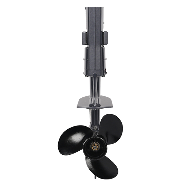 ЛОДОЧНЫЙ МОТОР ALLFA CG T9,8 Limit в Евпатории