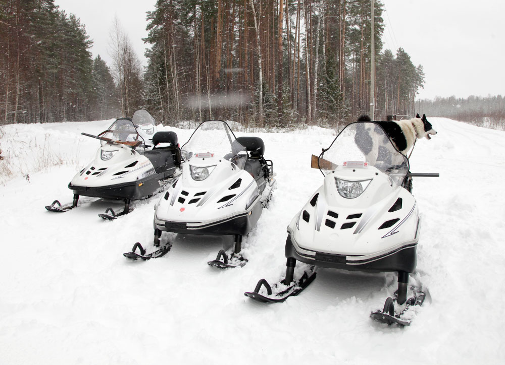 СНЕГОХОД РМ ТАЙГА ВАРЯГ 550 V в Евпатории