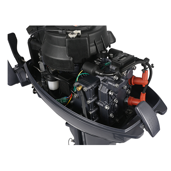 ЛОДОЧНЫЙ МОТОР ALLFA CG Т9,9 Limit в Евпатории