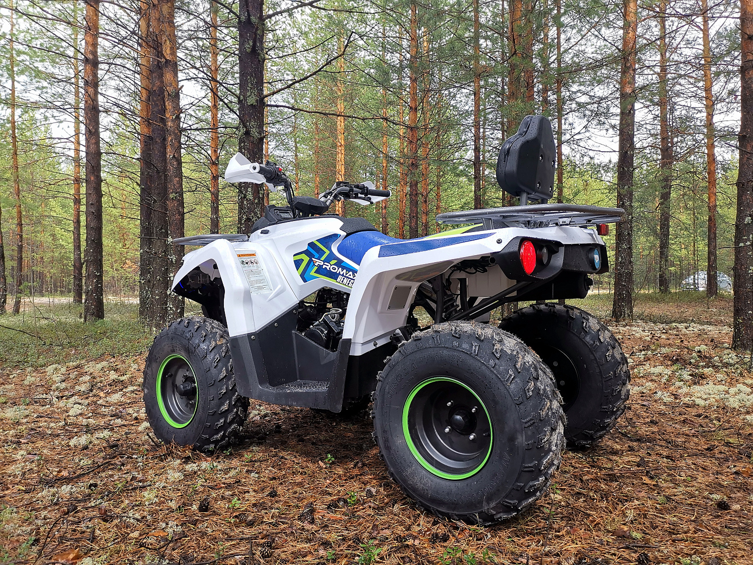 Квадроцикл PROMAX RENEGADE 280 (2025) в Евпатории