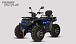 Квадроцикл PROMAX TAURUS 300 MAX-PRO LONG в Евпатории
