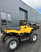 КВАДРОЦИКЛ IRBIS ATV 250  в Евпатории