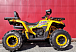 Квадроцикл PROMAX STORM 280 LUX в Евпатории