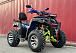  Квадроцикл PROMAX ATV 250 MAX (2025) в Евпатории