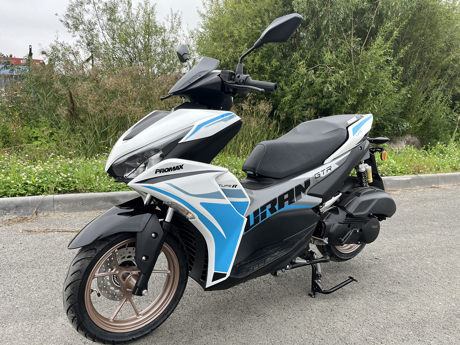 Скутер PROMAX TURAN 250 (49) в Евпатории