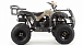 Квадроцикл MOTOLAND (МОТОЛЕНД) 200 ALL ROAD в Евпатории