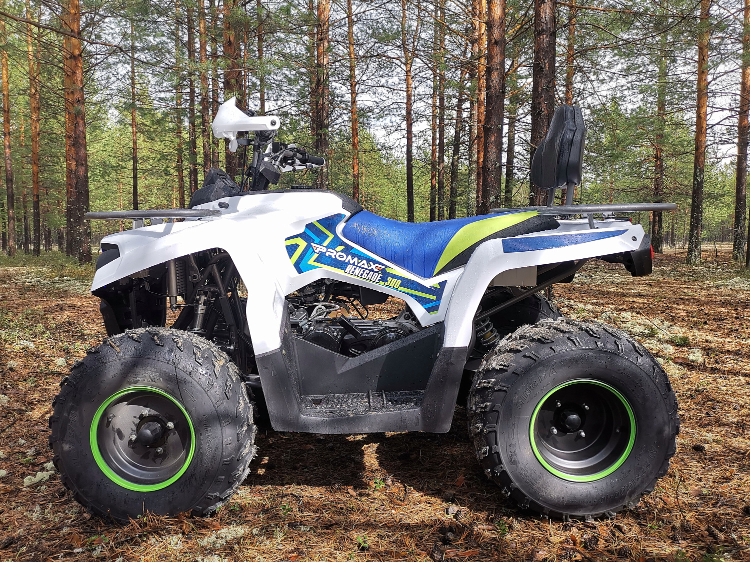 Квадроцикл PROMAX RENEGADE 280 (2025) в Евпатории