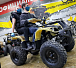 Квадроцикл PROMAX ATV 250 (2025) в Евпатории