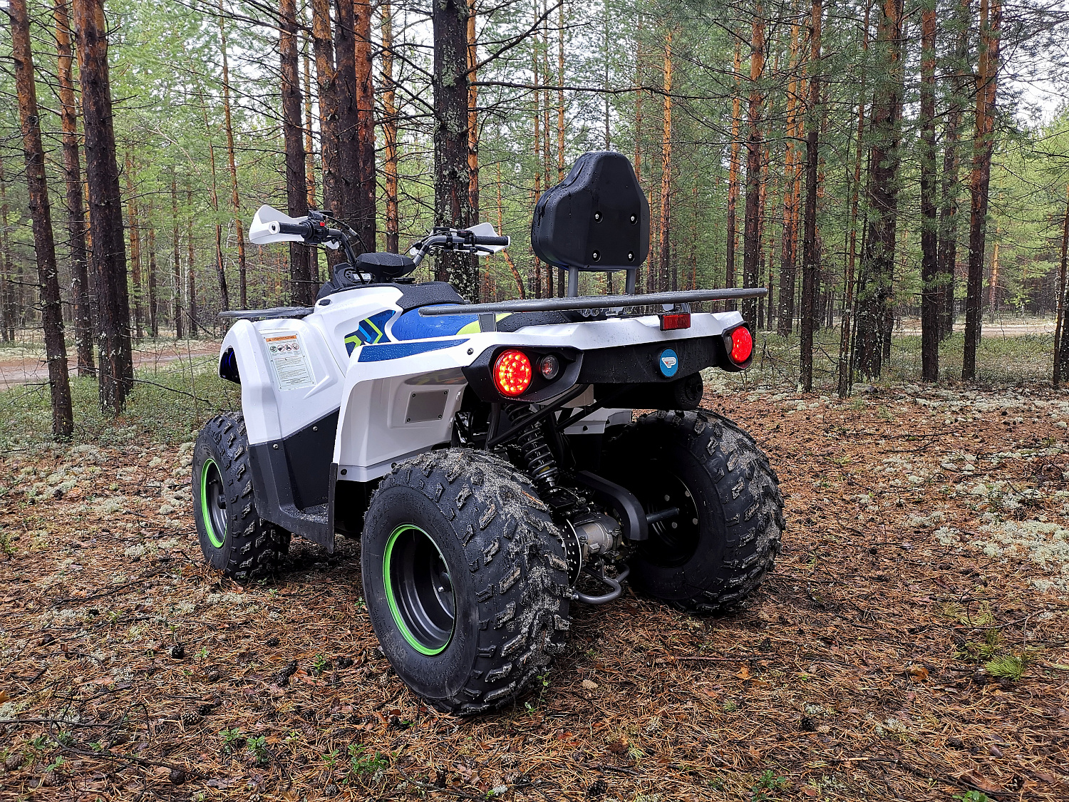 Квадроцикл PROMAX RENEGADE 280 (2025) в Евпатории