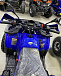 Квадроцикл PROMAX WILD 2.0 190 PRO (2025) в Евпатории