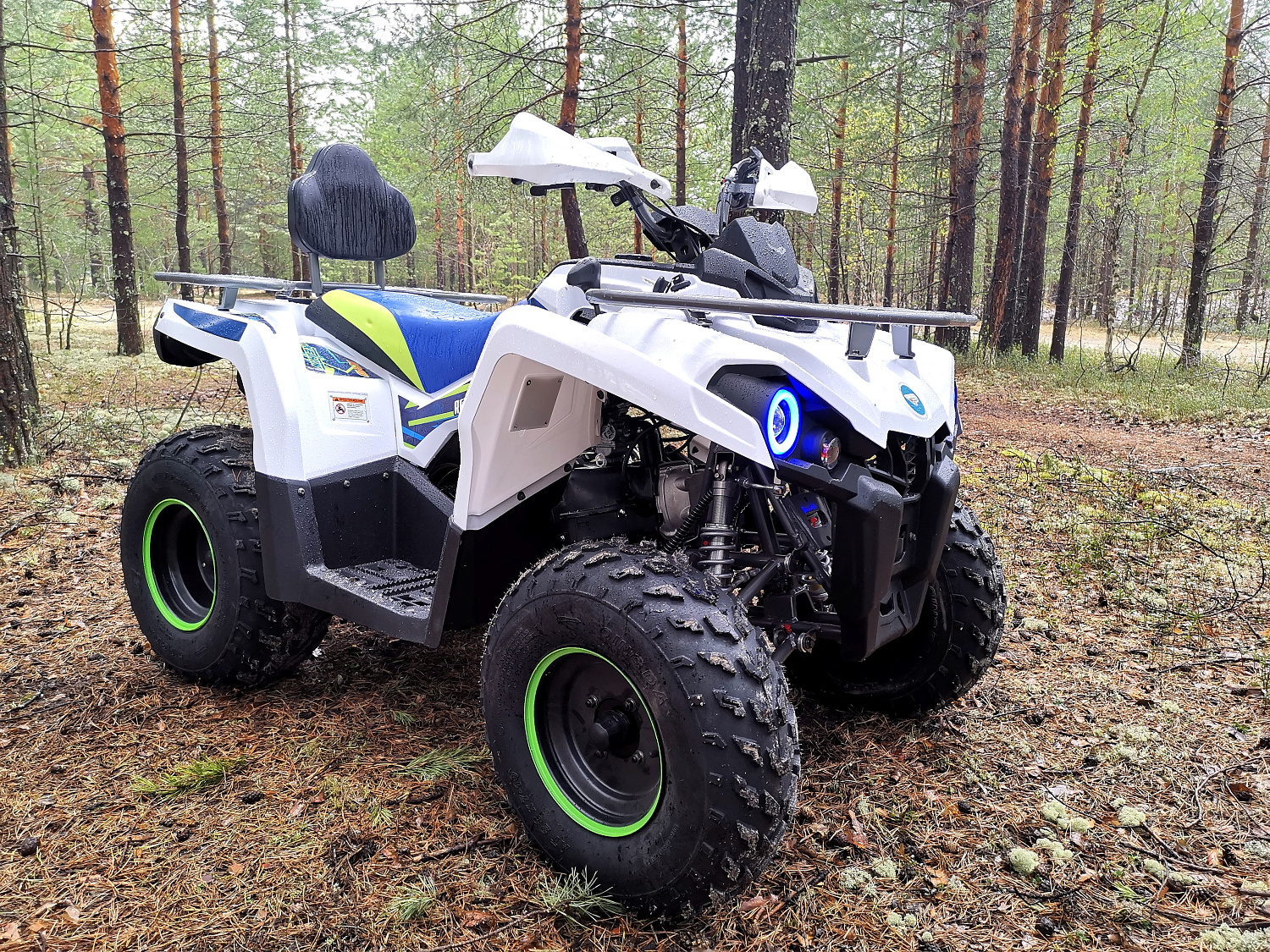 Квадроцикл PROMAX RENEGADE 280 (2025) в Евпатории