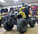 Квадроцикл PROMAX ATV 250 (2025) в Евпатории